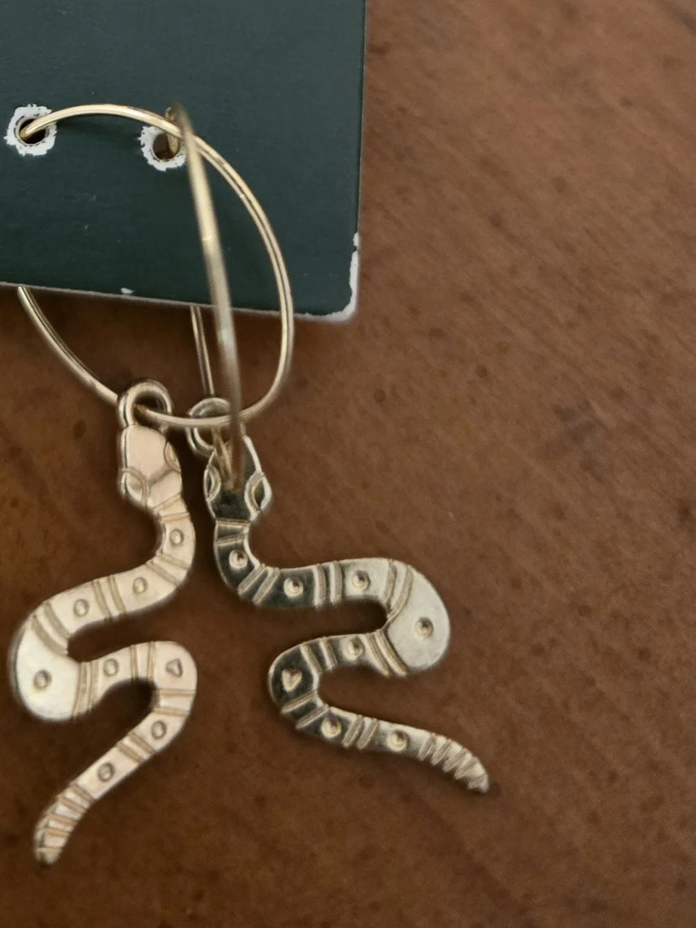 Wild fable Gold Snake Hoop Dangle Earrings